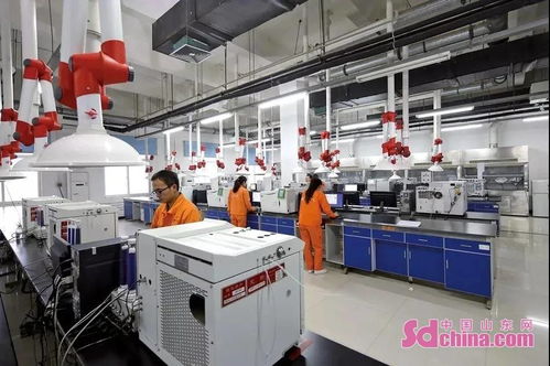 東明石化穩居行業前列 百強榜單第四彰顯實力，新型膜材料布局引領未來